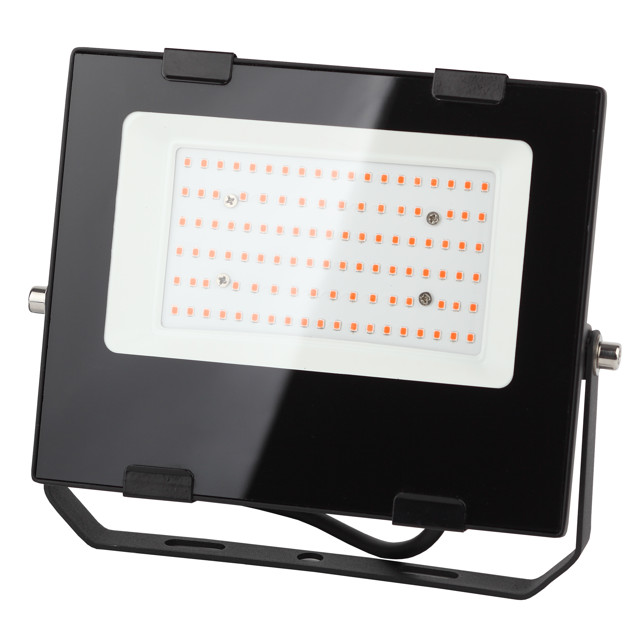 прожектор светодиодный для растений ЭРА 50Вт Фито красносинего спектра