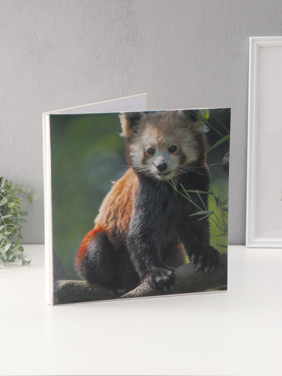 Фотоальбом магнитный на 20 листов