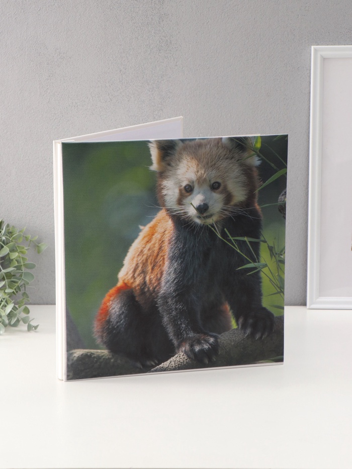 Фотоальбом магнитный на 20 листов «Красная панда», кожзам, в коробке, 2.6×32×33.5 см